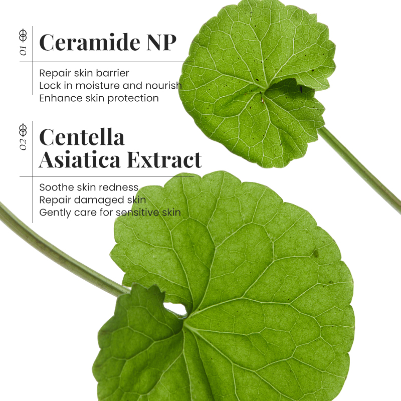 Seramid Yüz Kremi Cilt Bariyer - Ceramide Moisturizer incelemesi ve fiyatı
